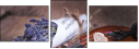 58289488