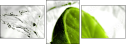 58535251
