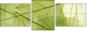58647115