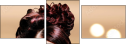 58690004