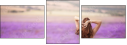 58710194