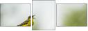 58740604