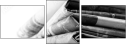 58912446