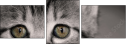 58977217