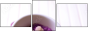 59034418