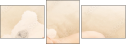 59056429
