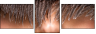 59175977