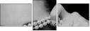 59364579