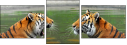 59476374