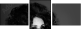 59537823