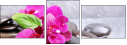 59767586