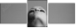 5977231