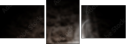 59781702
