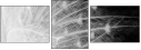 59854721