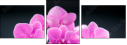 59897994