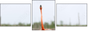 59910019