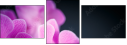 59923716