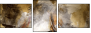 60051496