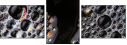 60098893