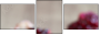 60166700