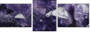 60182328