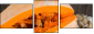 60187739