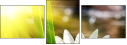 60275600