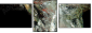 60316396