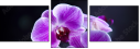 60354843