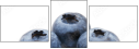 60359707