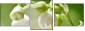 60390048
