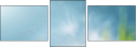 60450374