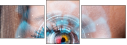 60478677