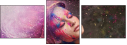 60483140
