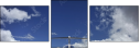 60525051