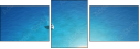 60682880