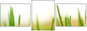60701620