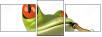 61064251