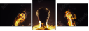 61751589