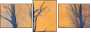61864050