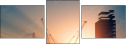 62085473