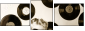 62539276