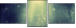 62549974