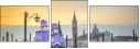 62901581