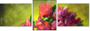 62921717