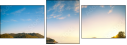 63712861