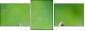 63805438