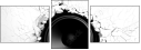 64054495