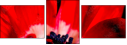 64202605