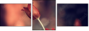 64748885